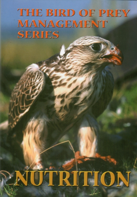 Birds of Prey (Visual Explorers Series)