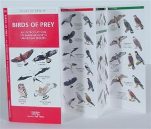 Field Guide - Birds of Prey