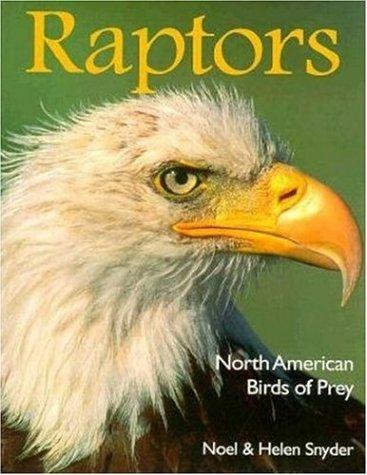 Birds of Prey of North America Giant Poster