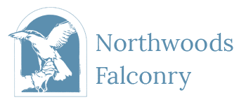 Northwood Falconry