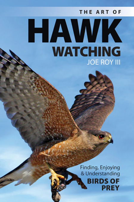 The Art of Hawk-Watching: Finding, Enjoying and Understanding Birds of Prey - JUST RELEASED